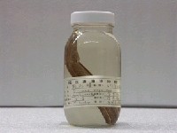 藏品(前肛鰻)的圖片